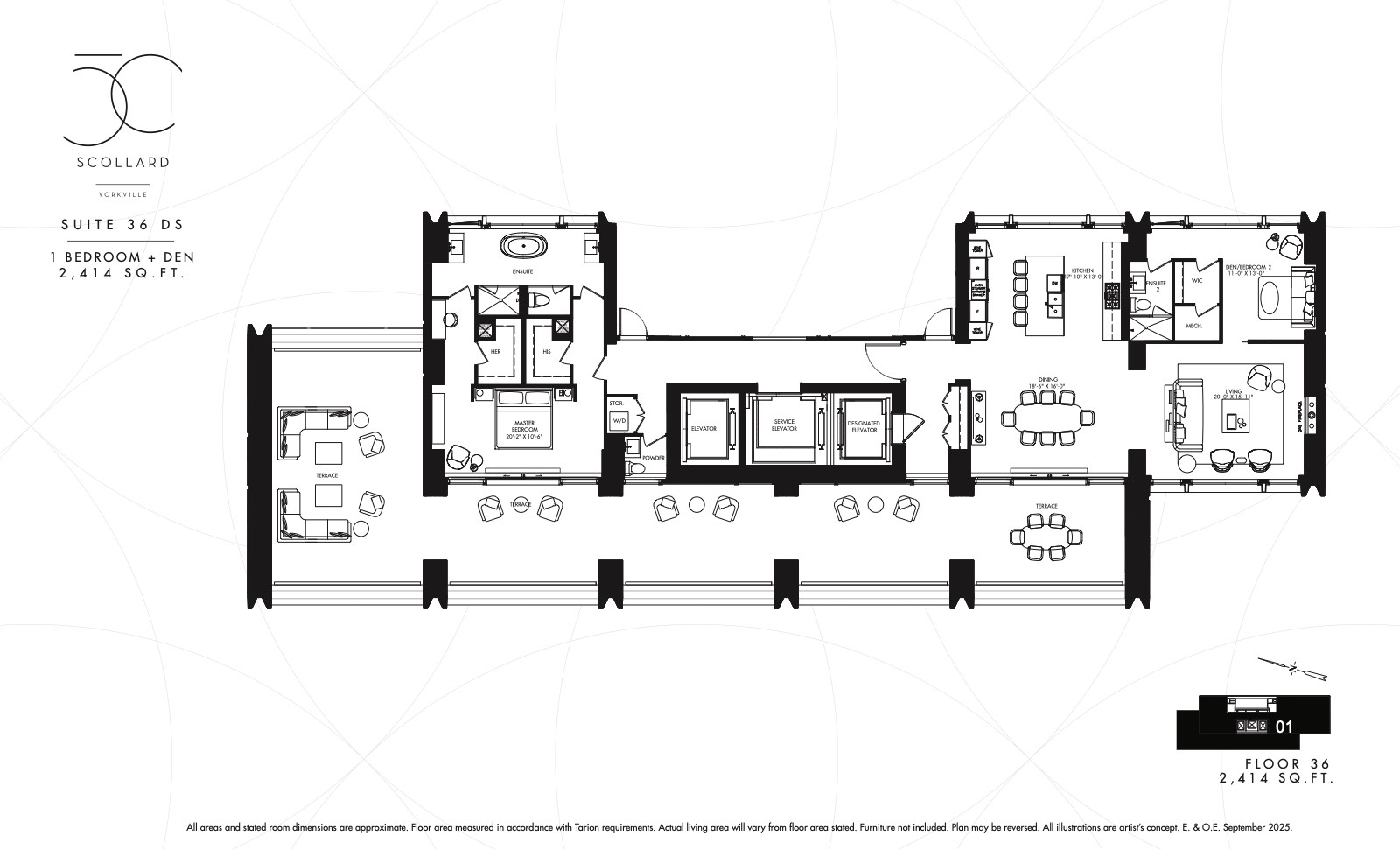 Suite 36 DS