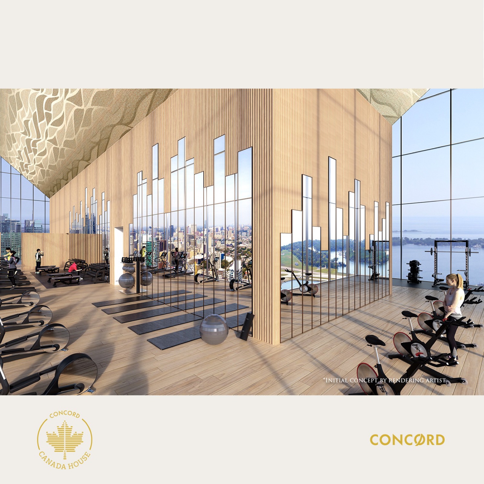Sky Gym
